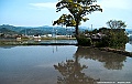 shikoku_340_g10