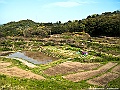 shikoku_354_g10
