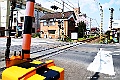 shikoku_1684