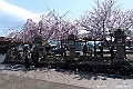 shikoku_1717