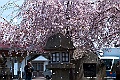 shikoku_1719