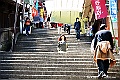 shikoku_1731