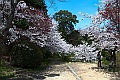 shikoku_1734
