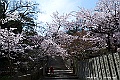 shikoku_1756