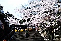 shikoku_1758