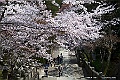 shikoku_1762