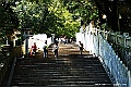 shikoku_1769
