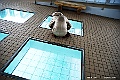 shikoku_2126
