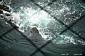 shikoku_2170