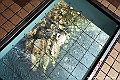 shikoku_2184