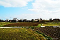 shikoku_2429