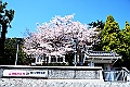shikoku_2576
