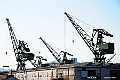 shikoku_2737