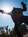 shikoku_483_g10