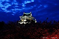 shikoku_3068