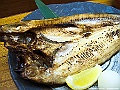 shikoku_531_g10