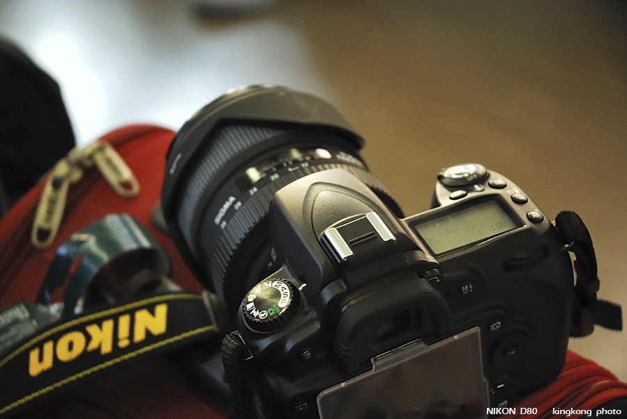 DSC_3145.jpg - �ߤs�³�����