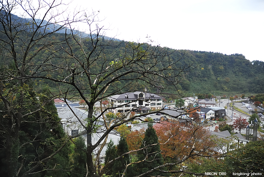 DSC_3246.jpg - �ߤs�³�����
