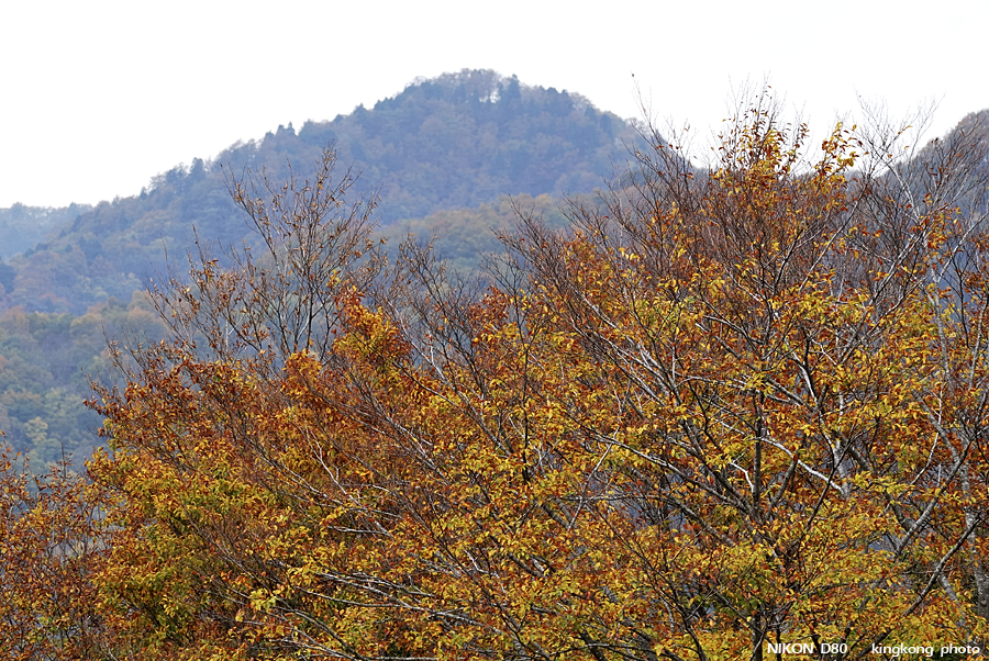 DSC_3294.jpg - �ߤs�³�����