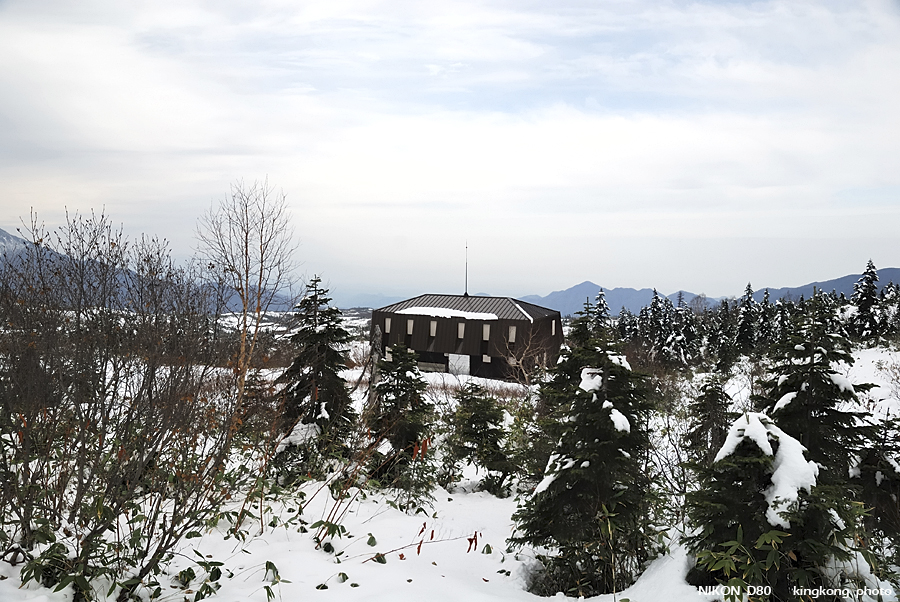 DSC_3462.jpg - �ߤs�³�����