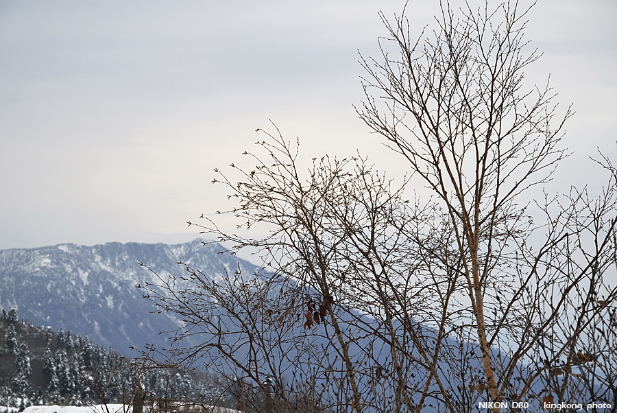 DSC_3465.jpg - �ߤs�³�����