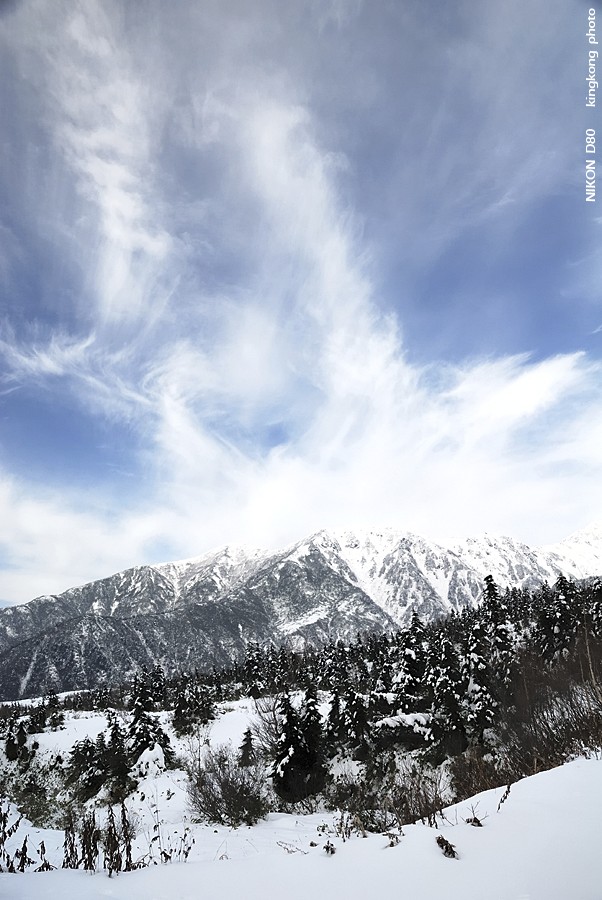 DSC_3480.jpg - �ߤs�³�����
