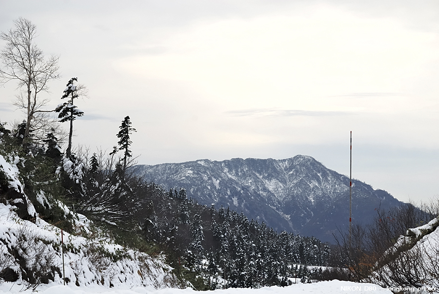 DSC_3484.jpg - �ߤs�³�����