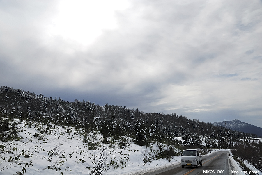 DSC_3501.jpg - �ߤs�³�����