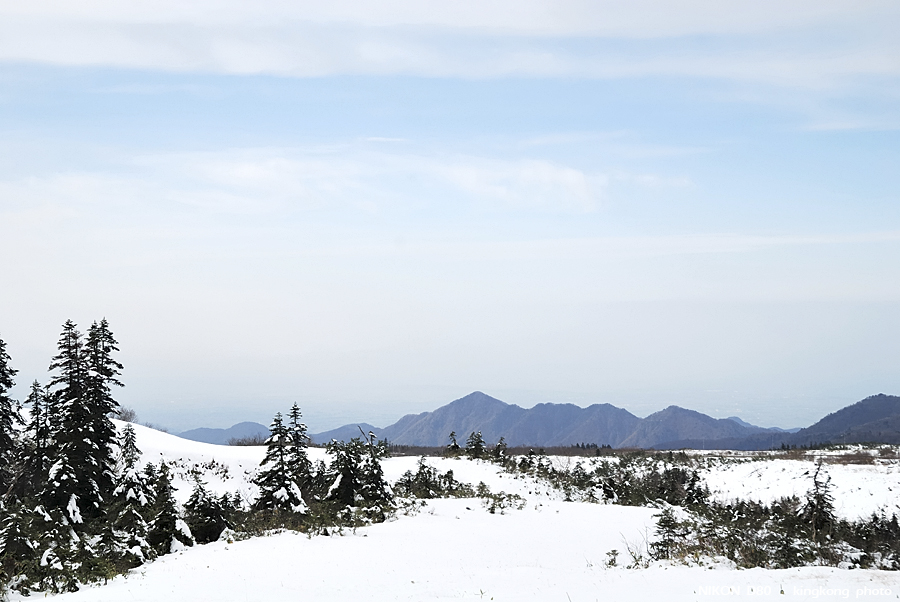 DSC_3508.jpg - �ߤs�³�����
