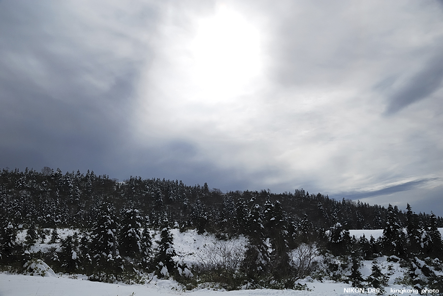 DSC_3510.jpg - �ߤs�³�����