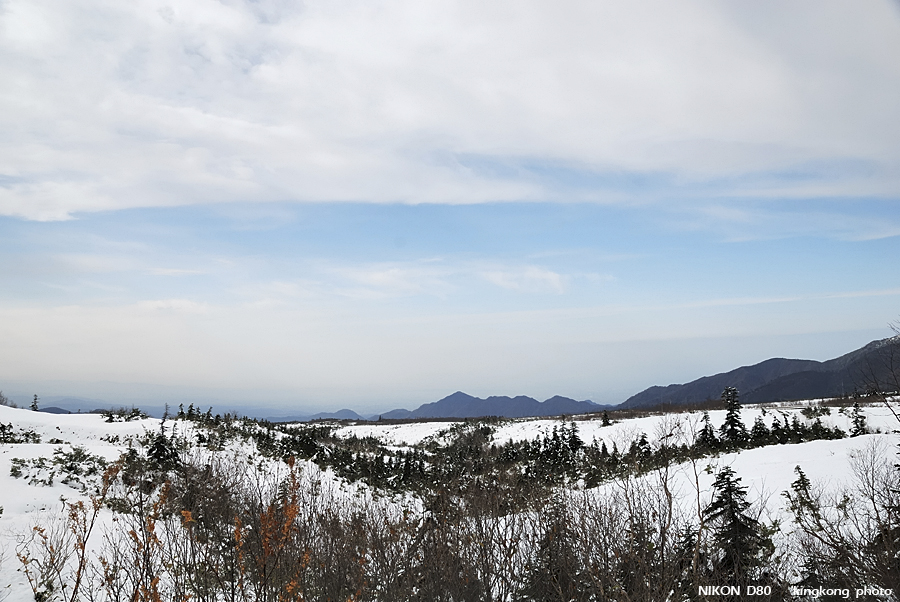 DSC_3515.jpg - �ߤs�³�����