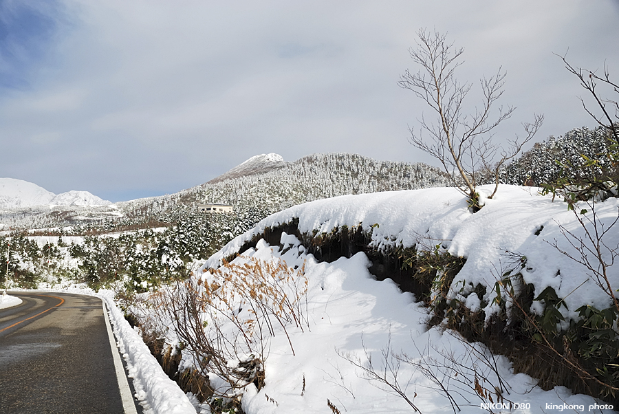 DSC_3537.jpg - �ߤs�³�����