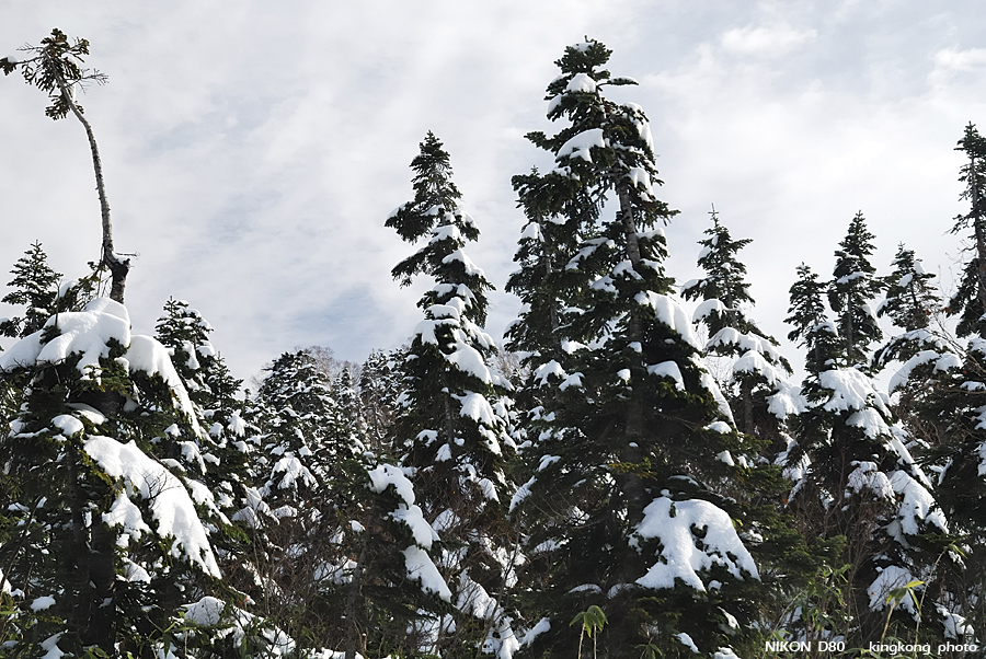 DSC_3543.jpg - �ߤs�³�����