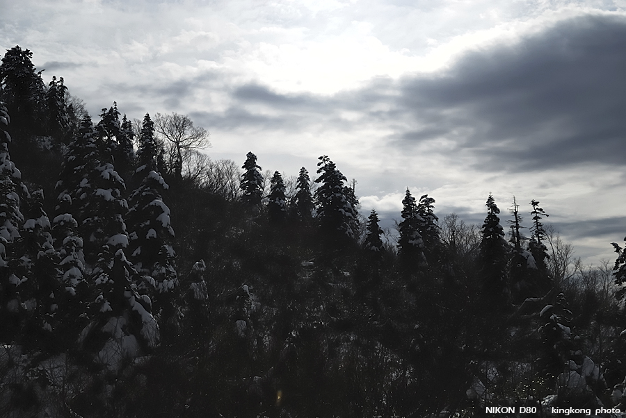 DSC_3555.jpg - �ߤs�³�����