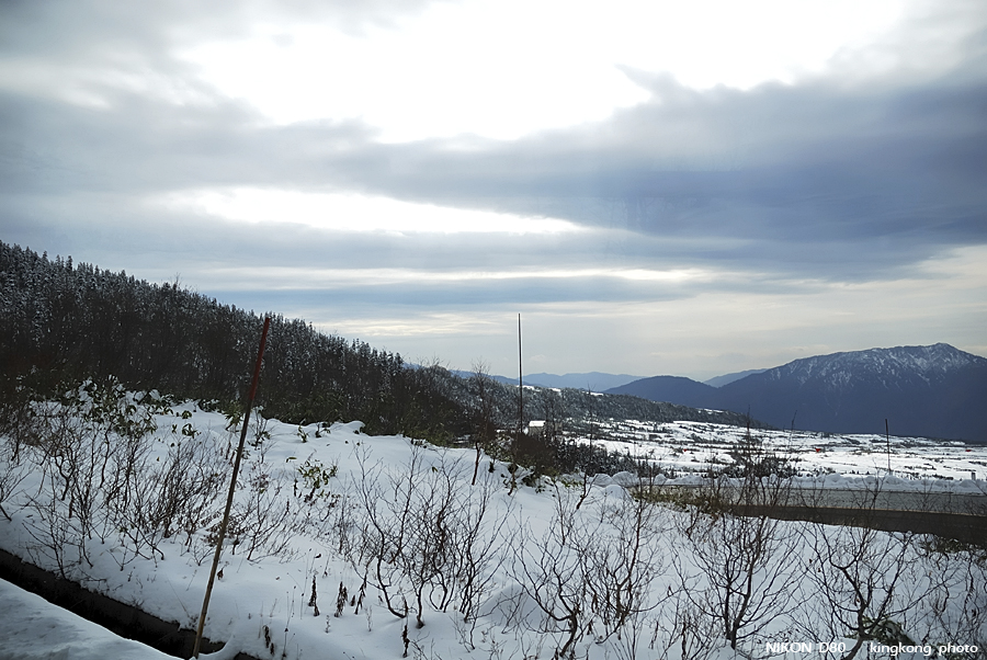 DSC_3592.jpg - �ߤs�³�����
