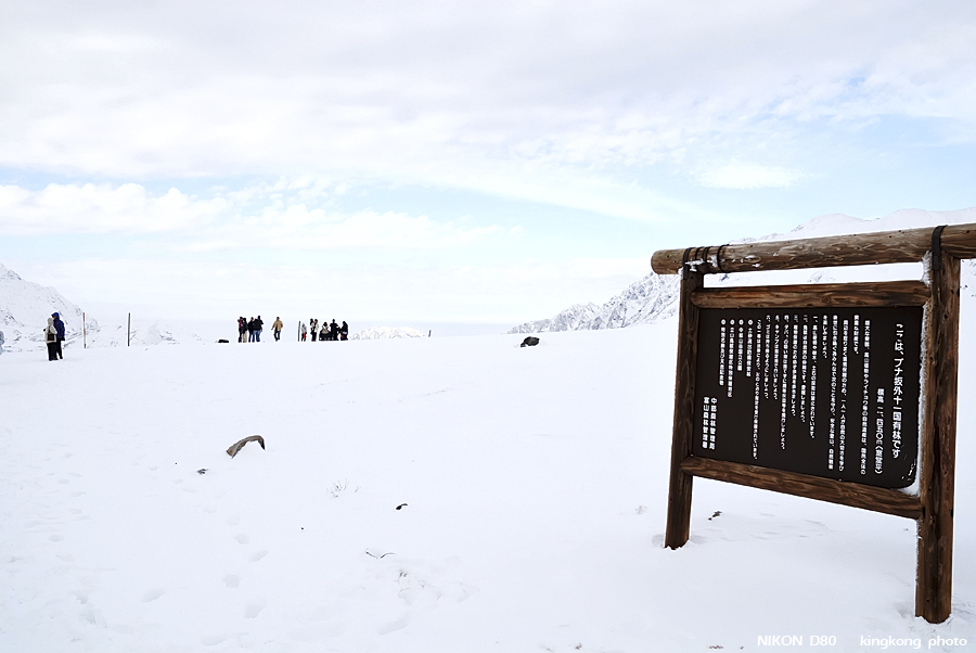 DSC_3626.jpg - �ߤs�³�����