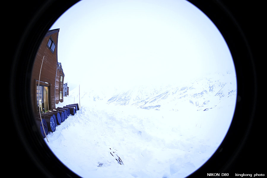DSC_3762.jpg - �ߤs�³�����