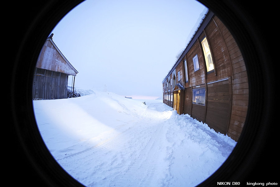 DSC_3767.jpg - �ߤs�³�����