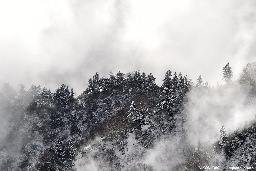 DSC_3875.jpg - �ߤs�³�����