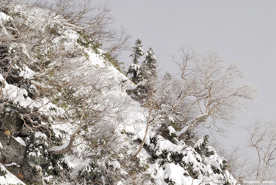 DSC_3889.jpg - �ߤs�³�����