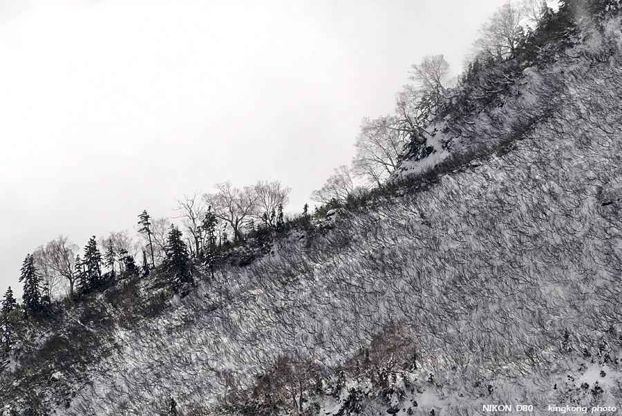 DSC_3895.jpg - �ߤs�³�����