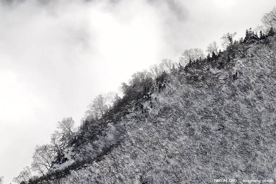 DSC_3896.jpg - �ߤs�³�����