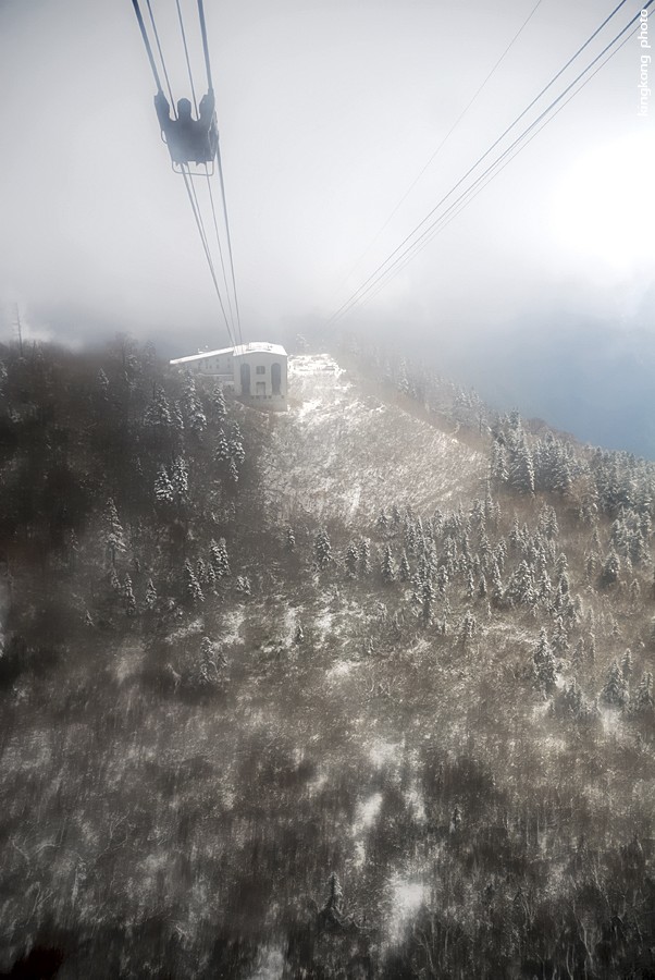DSC_3926.jpg - �ߤs�³�����