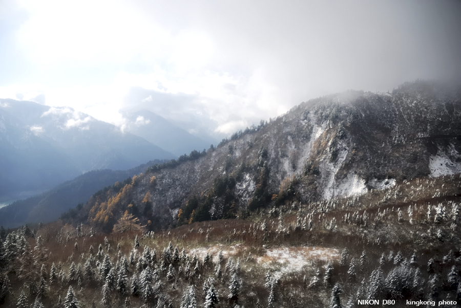 DSC_3933.jpg - �ߤs�³�����
