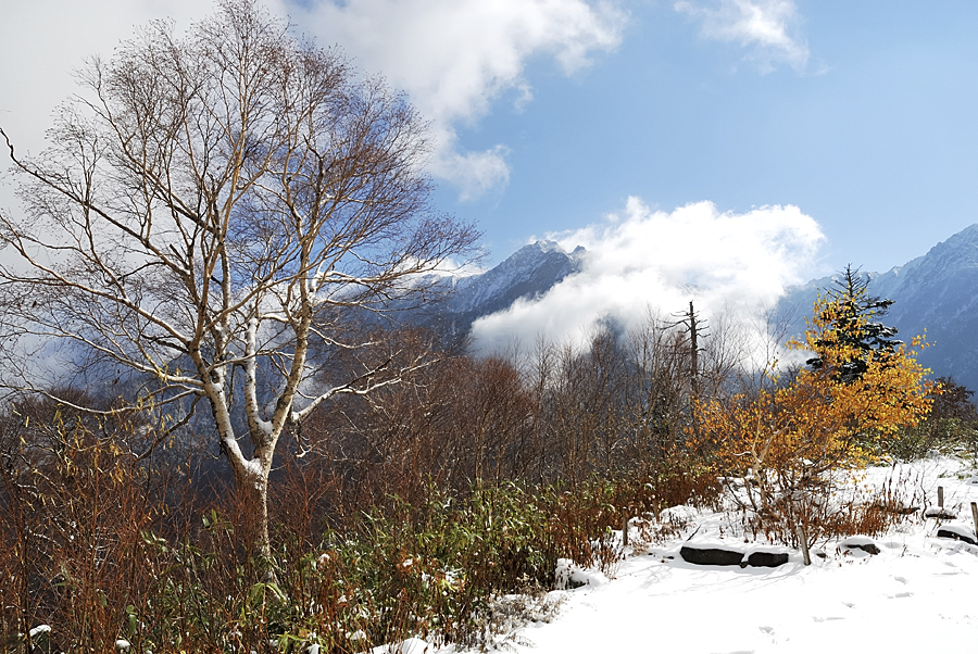 DSC_3953.jpg - �ߤs�³�����
