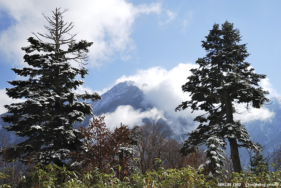 DSC_3958.jpg - �ߤs�³�����