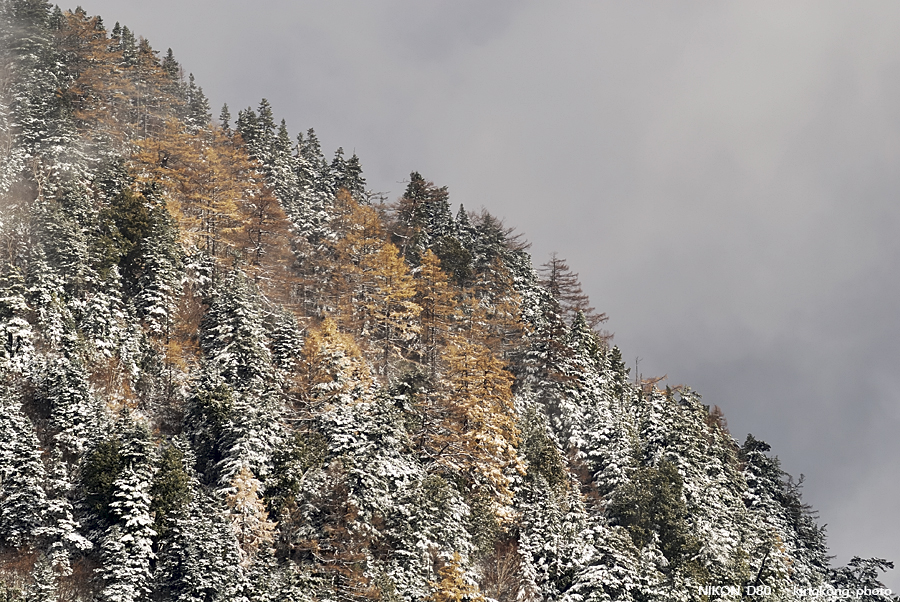 DSC_3998.jpg - �ߤs�³�����