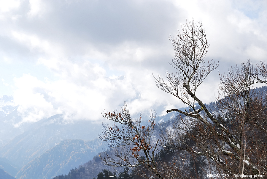 DSC_4008.jpg - �ߤs�³�����