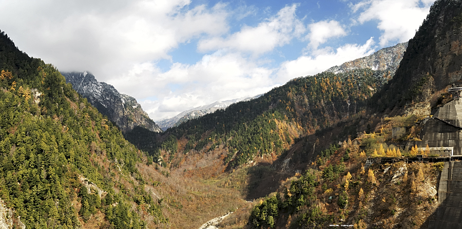 DSC_4146.jpg - �ߤs�³�����