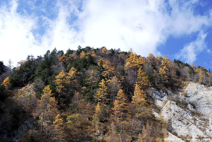 DSC_4322.jpg - �ߤs�³�����